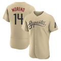 Fenge A.Diamondbacks #14 Gabriel Moreno Player Gold City Connect Stitched Jerseys
