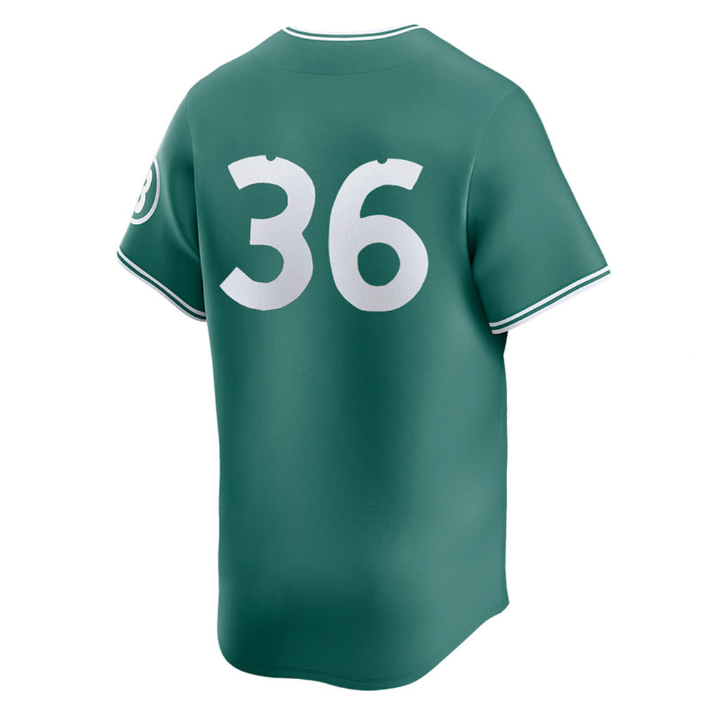 Fenge B.Red Sox #36 Triston Casas Player Green City Connect Limited Home Game Stitched Jerseys