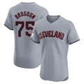 Fenge C.Guardians #75 Connor Brogdon Player Gray Road Limited Elite Home Stitched Jerseys
