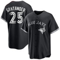 Fenge T.Blue Jays #25 Anthony Santander Player Black City Connect Limited Stitched Jerseys