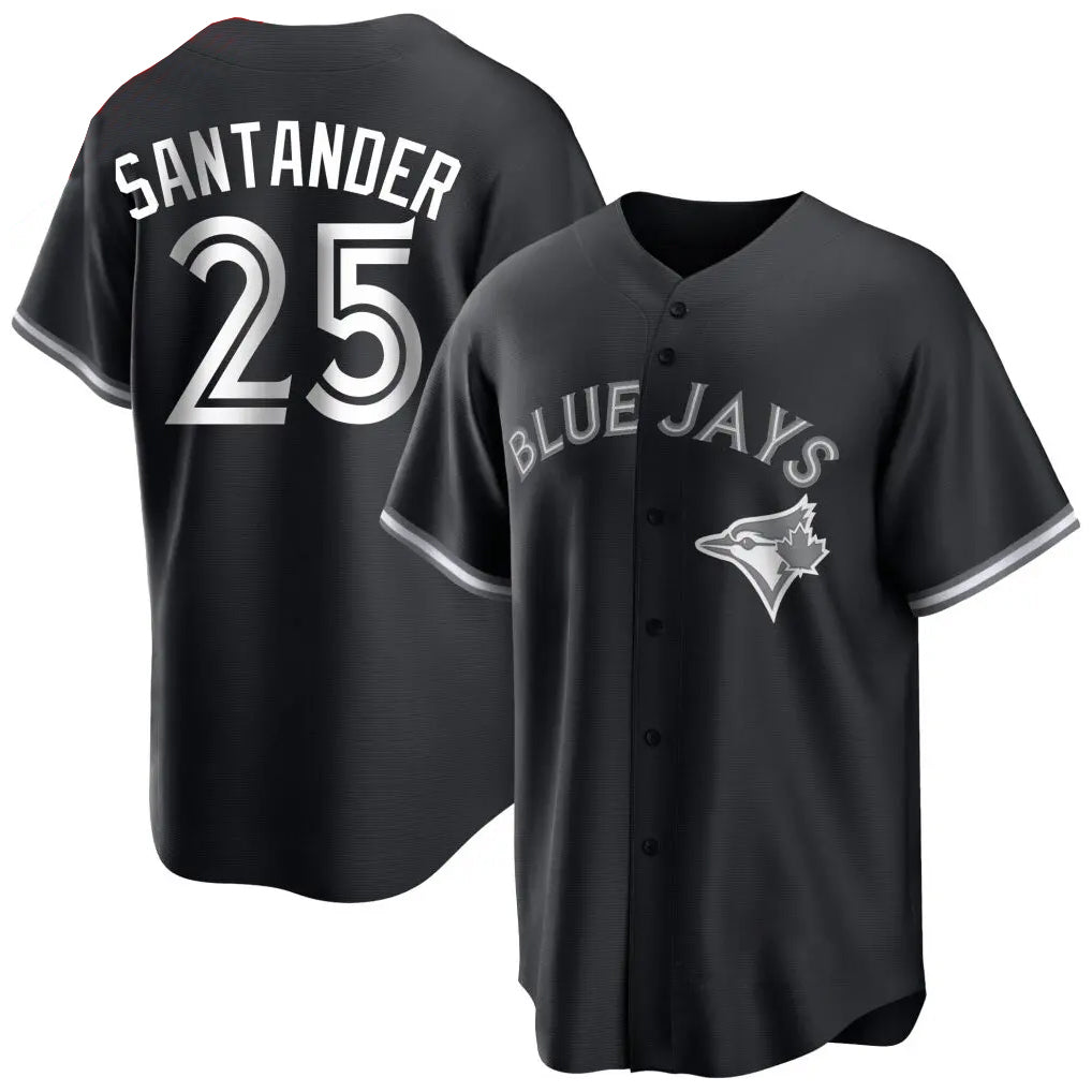 Fenge T.Blue Jays #25 Anthony Santander Player Black City Connect Limited Stitched Jerseys