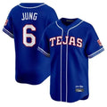 Fenge T.Rangers #6 Josh Jung Player Royal 2026 City Connect Limited Stitched Jerseys